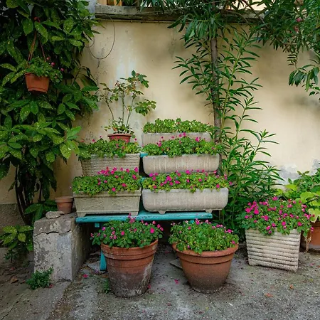 Appartement Secret Garden In The Heart Of Isola
